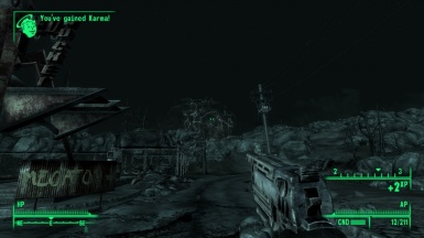 What does karma do in fallout 3